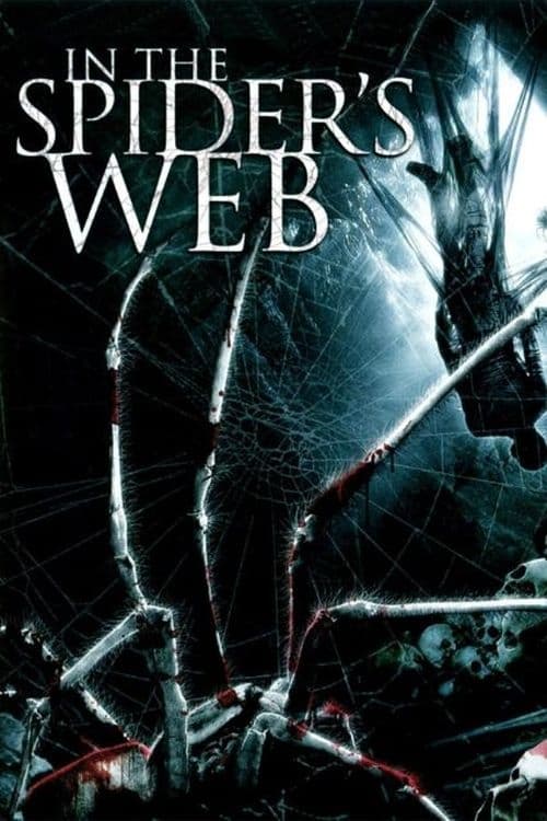 Постер In the Spider's Web
